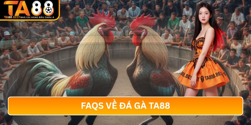 FAQs Về Đá Gà TA88