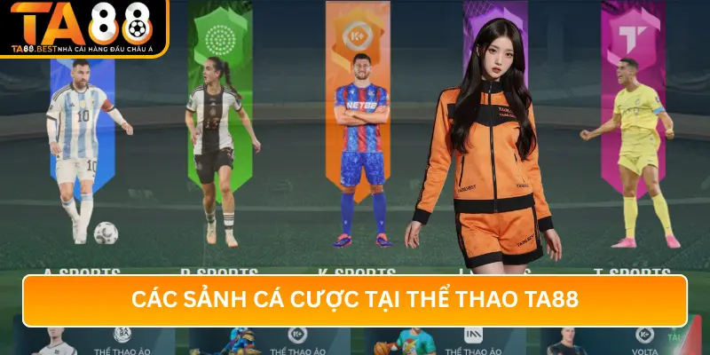 Các Sảnh Cá Cược Tại Thể Thao TA88